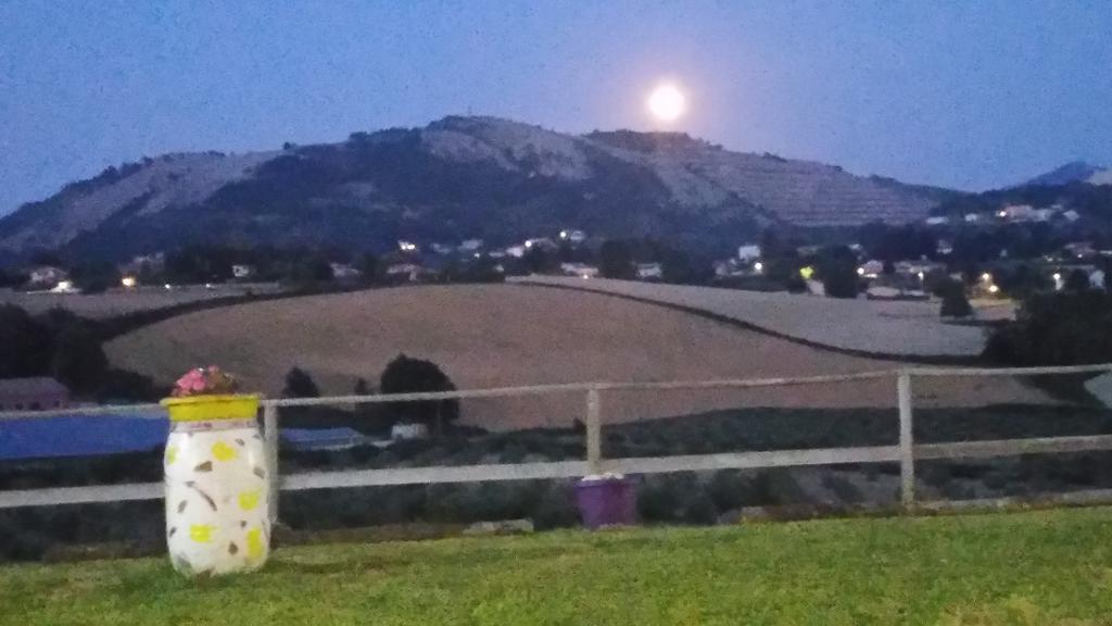 Bed & Breakfast Valeri Artena Εξωτερικό φωτογραφία